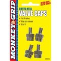 Hopkins 4PK Slot Valve Cap 22-5-08836-M